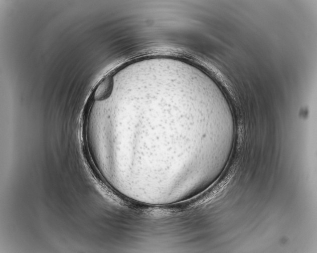 X0000099311034200805231358