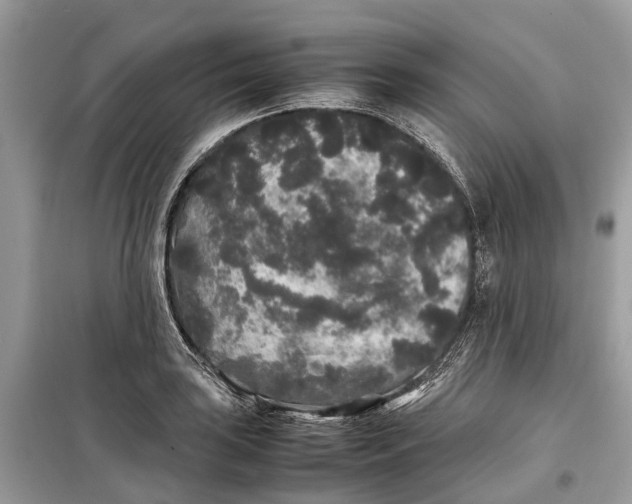 X0000099311035200805231359