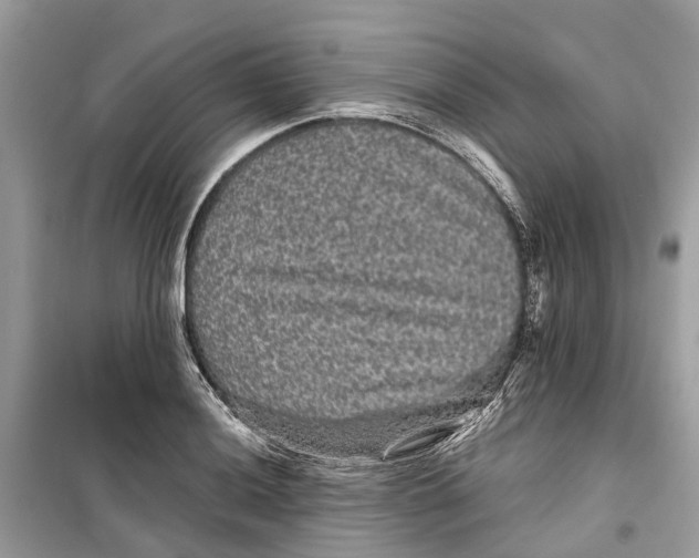 X0000099311036200805231359