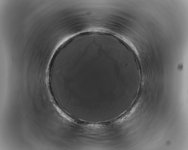 X0000099311037200805231359