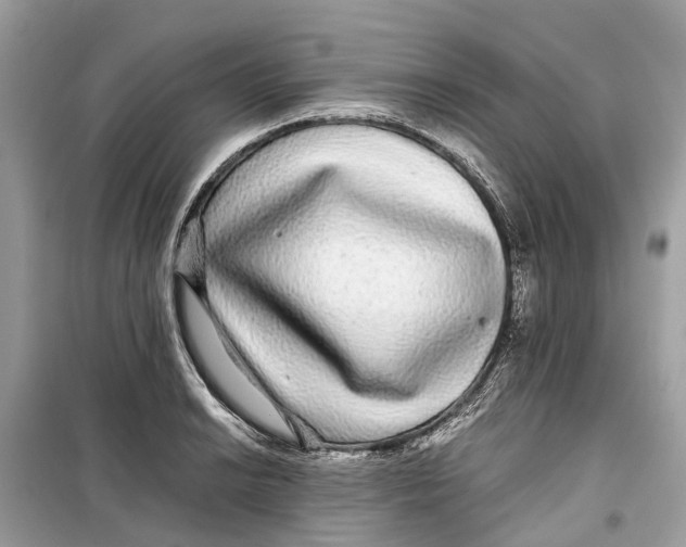 X0000099311038200805231359