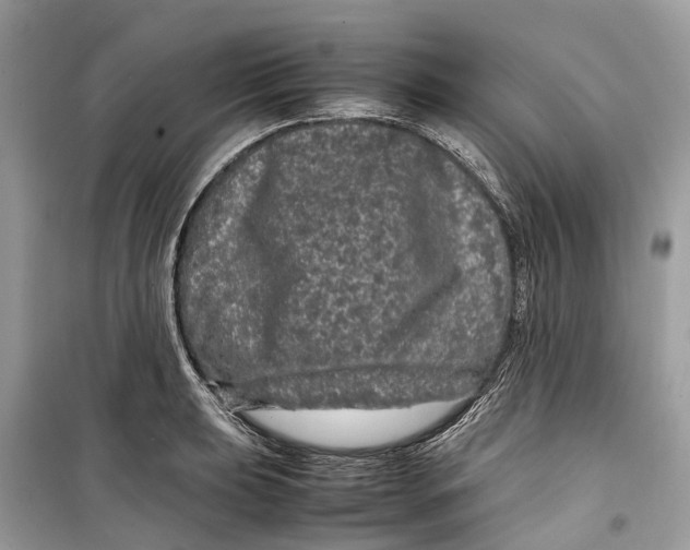 X0000099311039200805231359