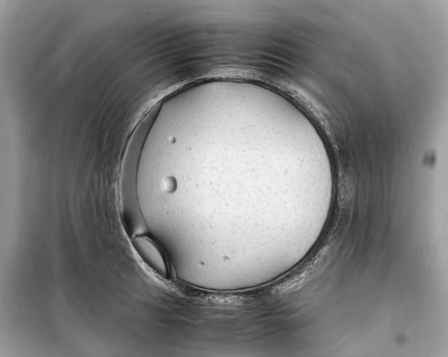 X0000099311041200805231359