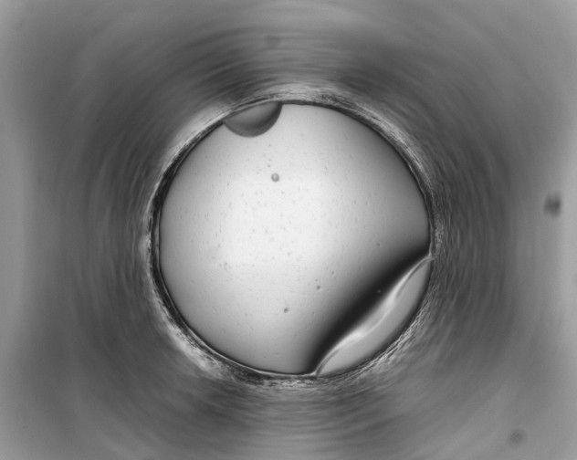 X0000099311042200805231359