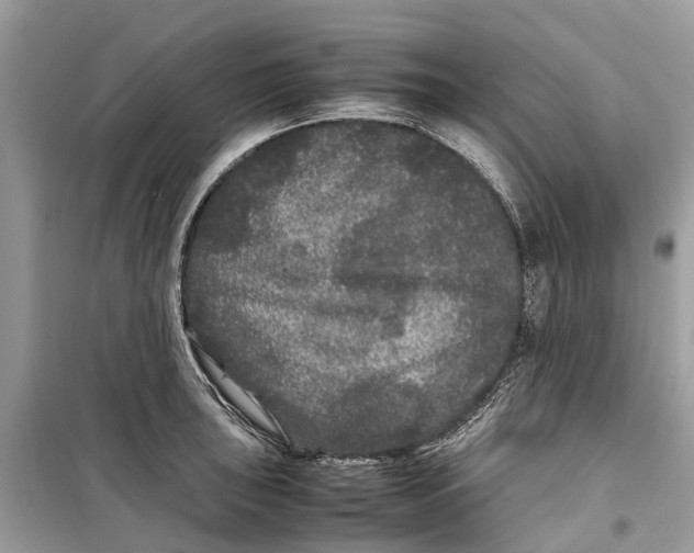 X0000099311043200805231359