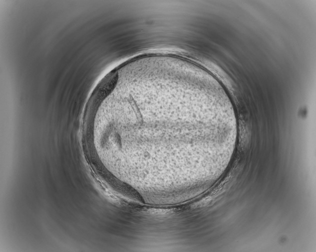 X0000099311044200805231359