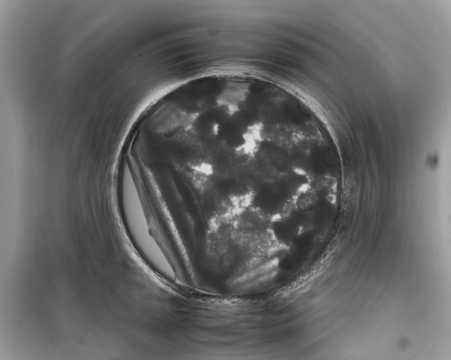 X0000099311045200805231359