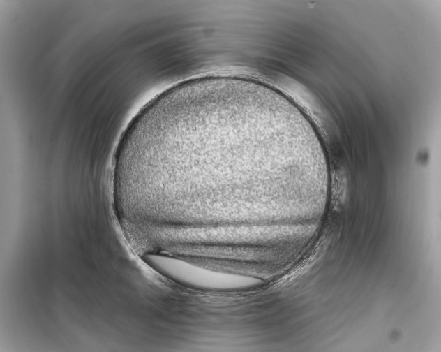 X0000099311046200805231359