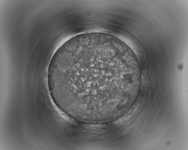 X0000099311047200805231359