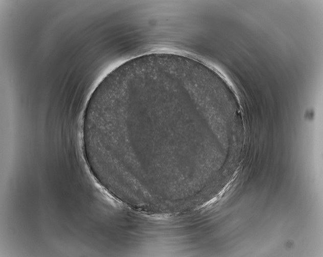 X0000099311048200805231359