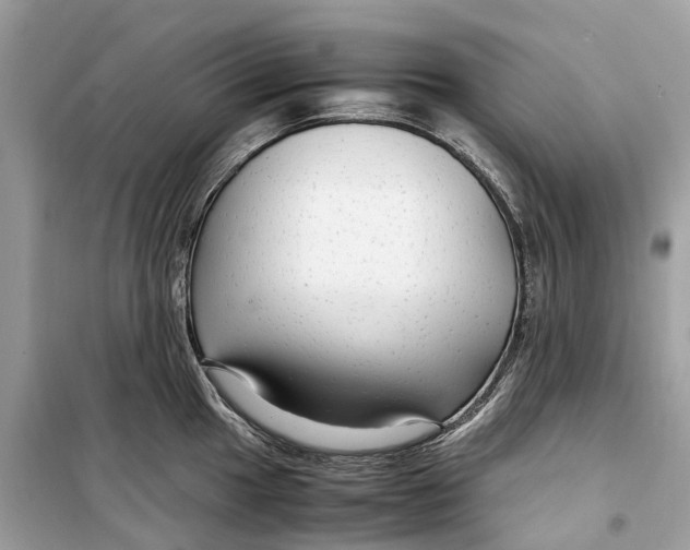 X0000099311049200805231359