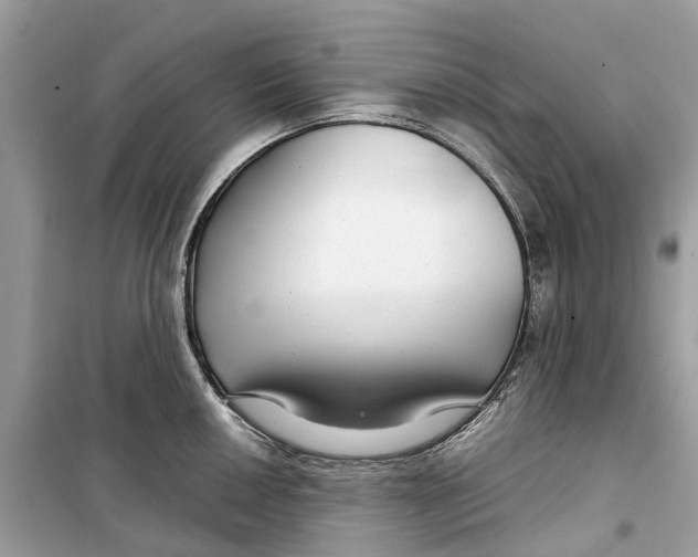 X0000099311050200805231359