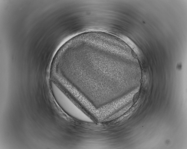 X0000099311052200805231359