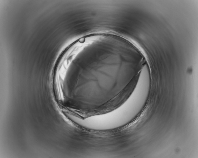 X0000099311053200805231359