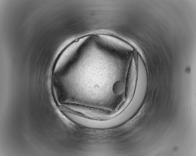 X0000099311054200805231359