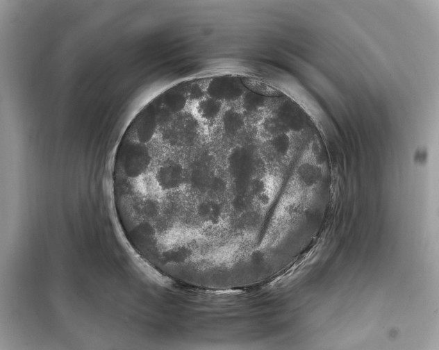 X0000099311055200805231359