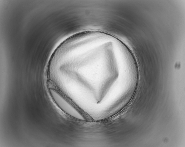 X0000099311056200805231359