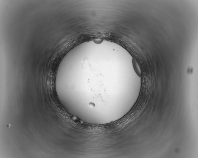 X0000099311058200805231358