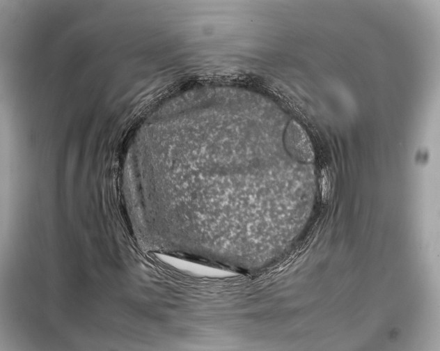 X0000099311059200805231358