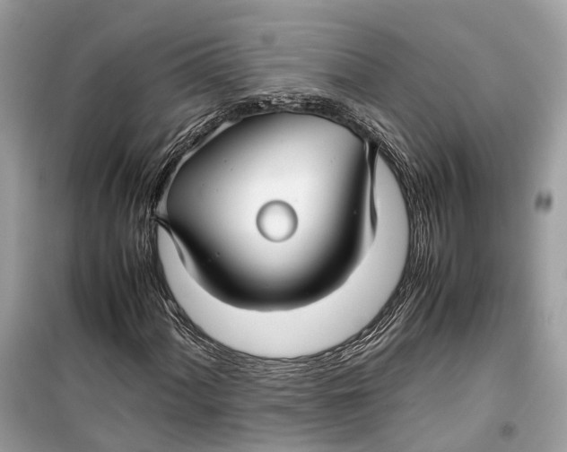 X0000099311060200805231358