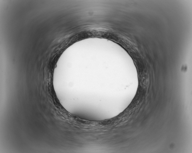 X0000099311061200805231358