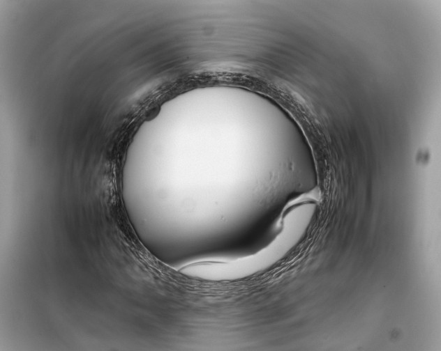 X0000099311062200805231358