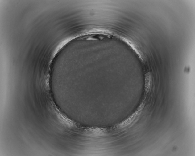 X0000099311066200805231358