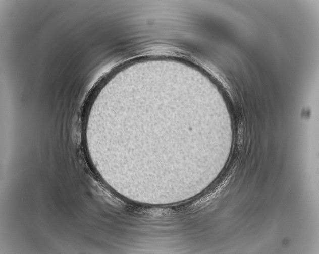 X0000099311067200805231358