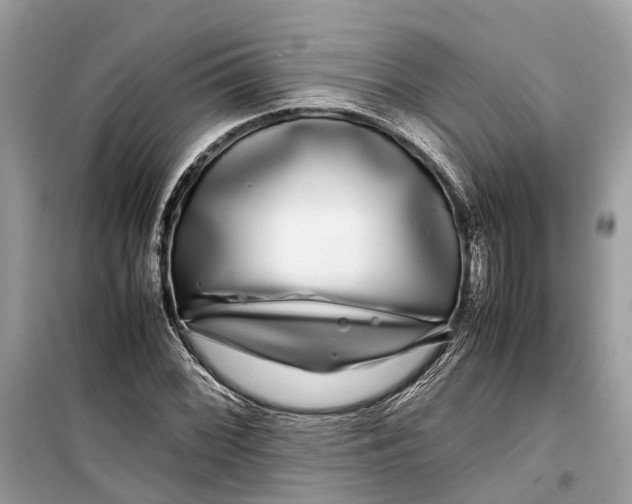 X0000099311068200805231358