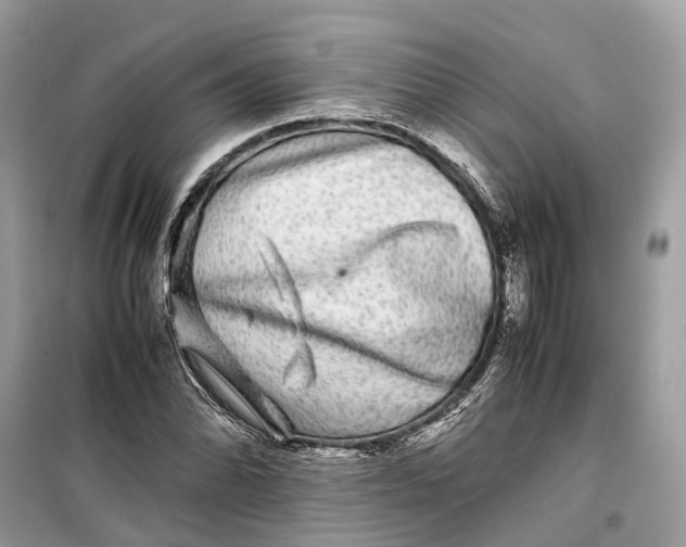 X0000099311070200805231358