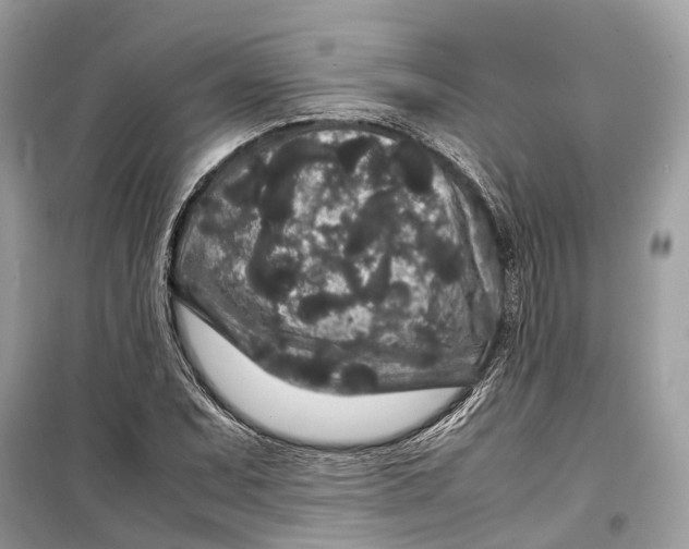 X0000099311071200805231358