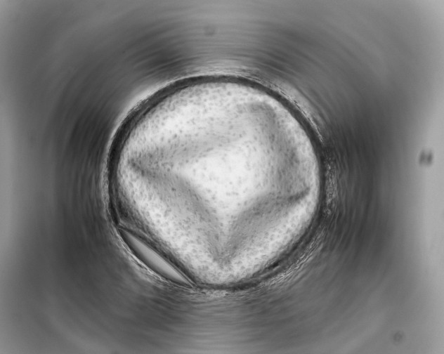 X0000099311072200805231358