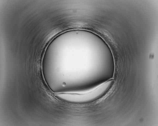 X0000099311073200805231358