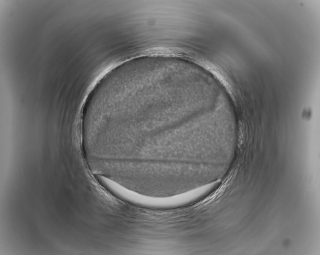 X0000099311075200805231358