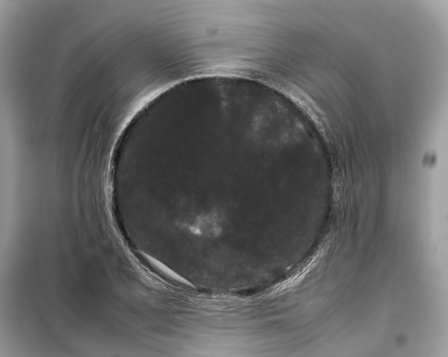 X0000099311077200805231358