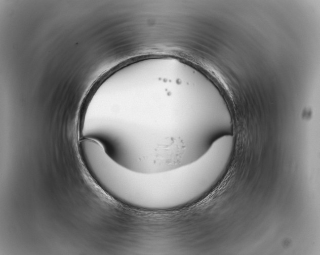 X0000099311080200805231358