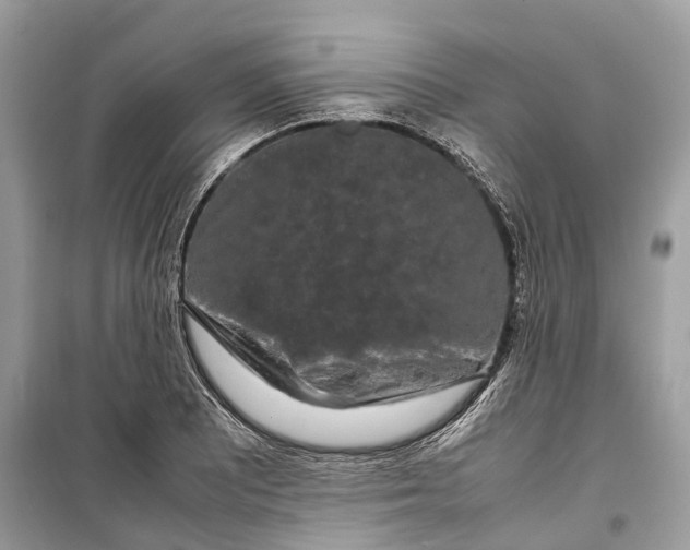 X0000099311081200805231358