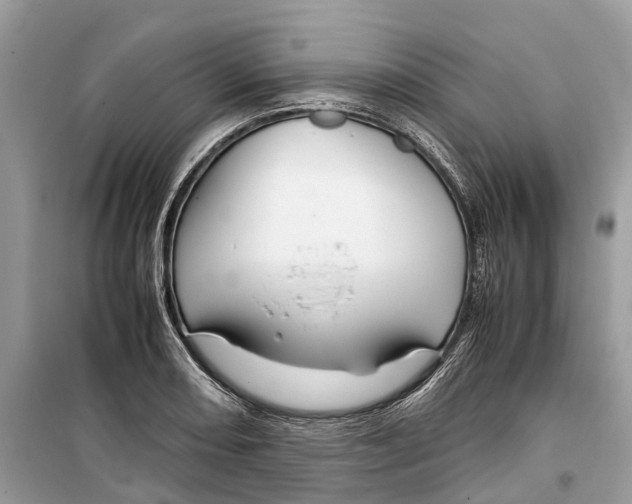 X0000099311082200805231358