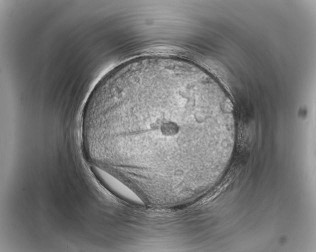 X0000099311083200805231358