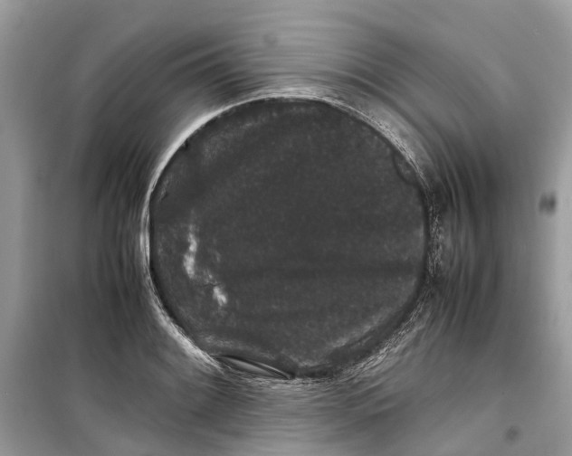 X0000099311084200805231358