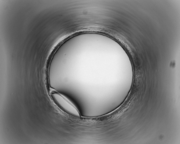 X0000099311085200805231358