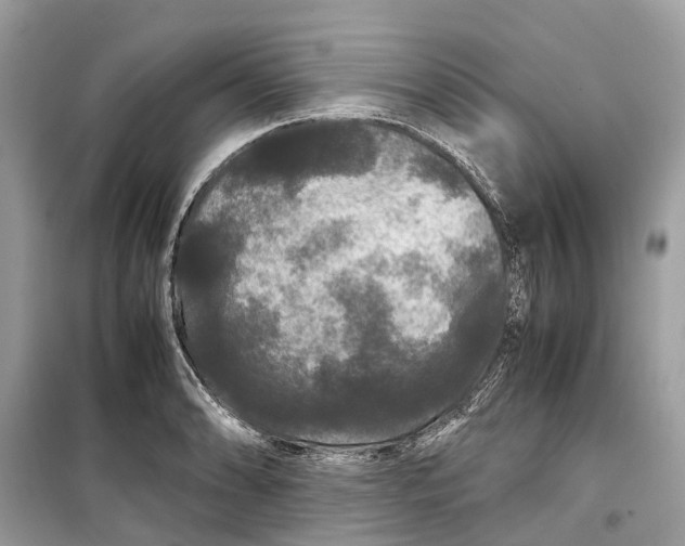 X0000099311086200805231358