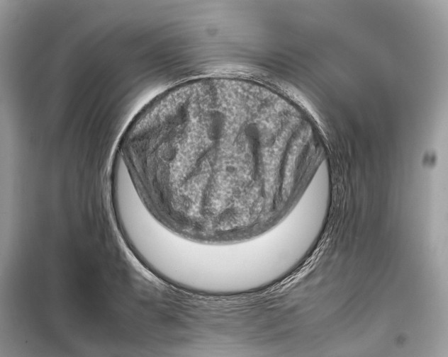 X0000099311087200805231358