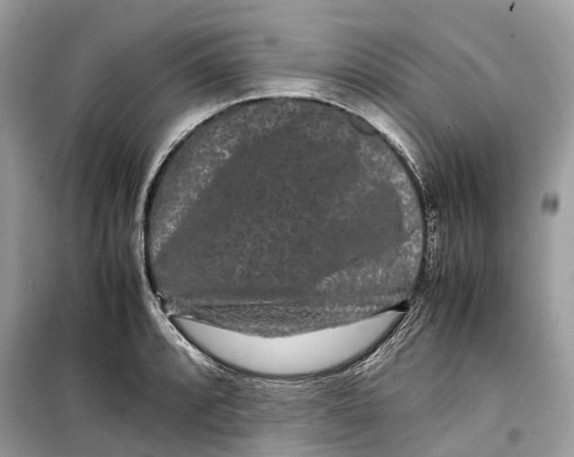 X0000099311088200805231358