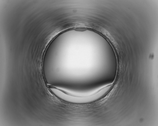 X0000099311089200805231358