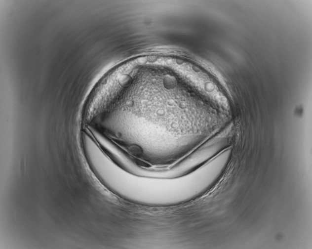 X0000099311091200805231358