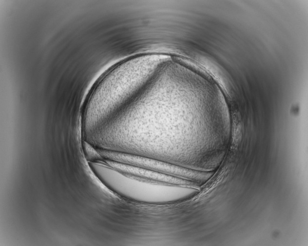 X0000099311092200805231358