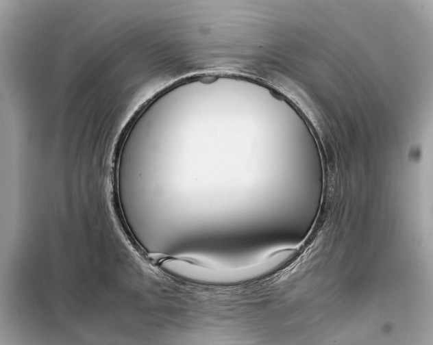 X0000099311093200805231358