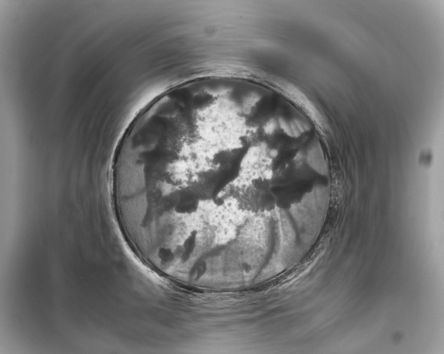 X0000099311095200805231358