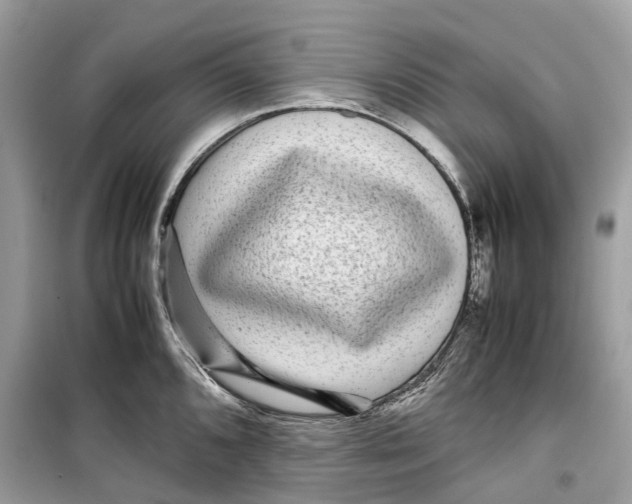 X0000099311096200805231358